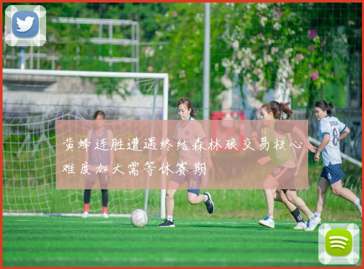 黄蜂连胜遭遇终结森林狼交易核心难度加大需等休赛期